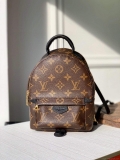 LV M44873 Louis Vuitton Palm Springs MINI Monogram Bag