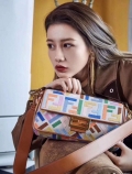 Fendi 8BR600 Baguette Embroidered Canvas Bag Multicolour