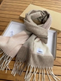 Burberry Scarves Classic Scarf B87397