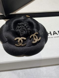 Chanel AB9535 Earring Designer Jewelry CC31691