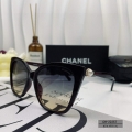 Chanel Classic Sunglasses C83189