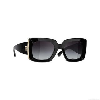 Chanel Classic Sunglasses C83193