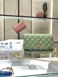 Chanel Wallet on Chain Lambskin AP1450 Light Green