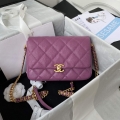 Chanel AS3103 Chanel 19 Handbag Calfskin Purple