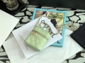 Chanel AP2553 Small Vanity with Chain Grained Calfskin Green