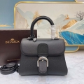 Delvaux AA0569 Brillant PM in Rodeo Calf Black