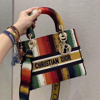 Dior M0565 Medium Lady D-lite Embroidery Bag colourful