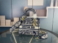 Dior M0565 Medium Lady D-Life Bag Blue Toile de Jouy Reverse Embroidery