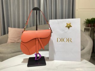 Dior M0446 Dior Saddle Bag Orange Grained Calfskin Purple logo