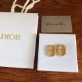 Dior E2134 CD Navy Earrings D99134