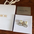 Dior E2141 Tribales Clip Earrings D99136