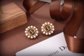 Dior E2049 Tribales Earrings D99145