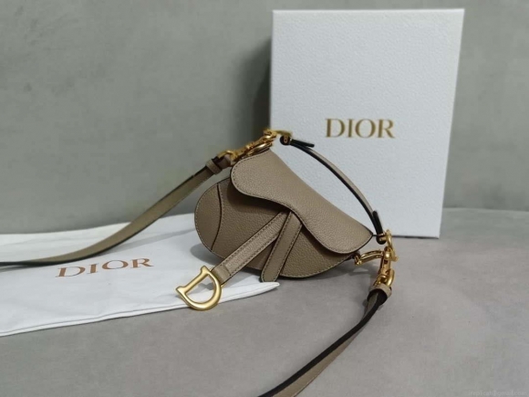 Dior S5685 Micro Saddle Bag With Strap Scarlet Light Gray Goatskin