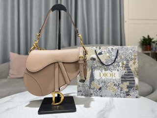 Dior M0455 Saddle Bag With Strap Nude Grained Calfskin