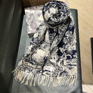 Dior Scarves Designer Scarf D63284