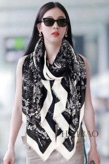 Dior Scarves Designer Scarf D63288