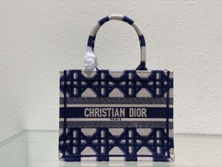 Dior M1265 Small Book Tote Beige and Blue Macrocannage Embroidery