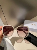 Dior Classic Sunglasses C83183