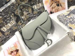 Dior M0446 Dior Saddle Bag M0447 Grey Grained Calfskin with Gray Hardware