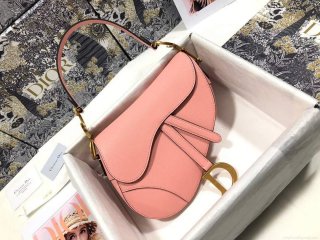 Dior M0446 Dior Saddle Bag M0447 Pink Goatskin