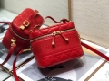 Dior S5488 Small Diortravel Vanity Case in Red Lambskin