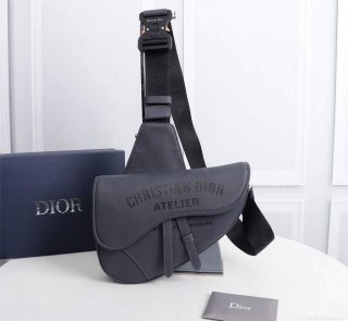 Dior 1ADPO093 Saddle Men Bag Grained Calfskin Gray