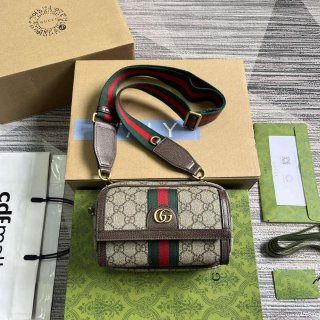 Gucci 746308 Ophidia GG Mini Bag Brown