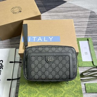 Gucci 760245 Ophidia GG Pouch Bag Grey