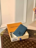 Louis Vuitton M81028 Pocket Organizer LV aerogram Blue