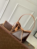 Louis Vuitton LV M46203 Carryall PM Monogram