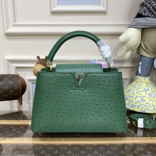 LV N93075 Louis Vuitton Capucines MM Handbag Mint Green