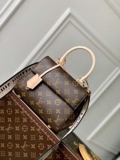 LV M46055 Louis Vuitton Cluny Mini Handbag Black Shoulder Strap