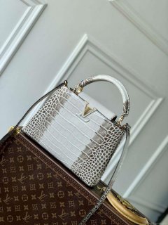 LV M48865 Louis Vuitton Capucines BB Handbag Himalayas