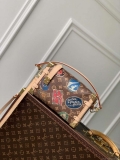 LV M47085 Louis Vuitton Side Trunk MM Other Monogram Canvas Handbag