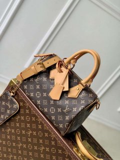 LV M24443 Louis Vuitton Speedy P9 Bandoulière 25 Bag Monogram Leather