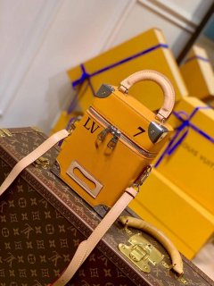 LV M59666 Louis Vuitton Vertical Box Trunk yellow